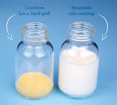 colostrum leaking|Colostrum Harvesting: How It Works, What To Do